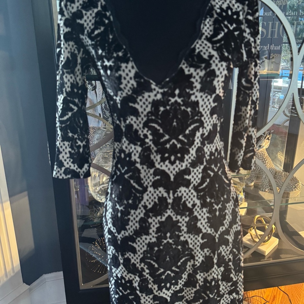 Black and Ivory crushed velvet dress